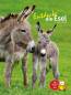 Preview: Entdecke die Esel